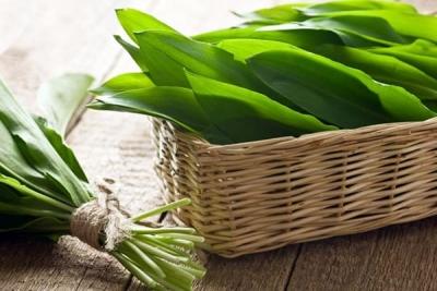 Aromă de primăvară pe tot parcursul anului: Metode simple de uscare a leurdei