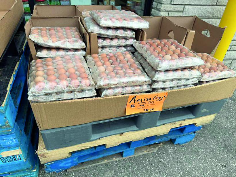 Viața în Detroit: scump, dar fără dramă 19000855