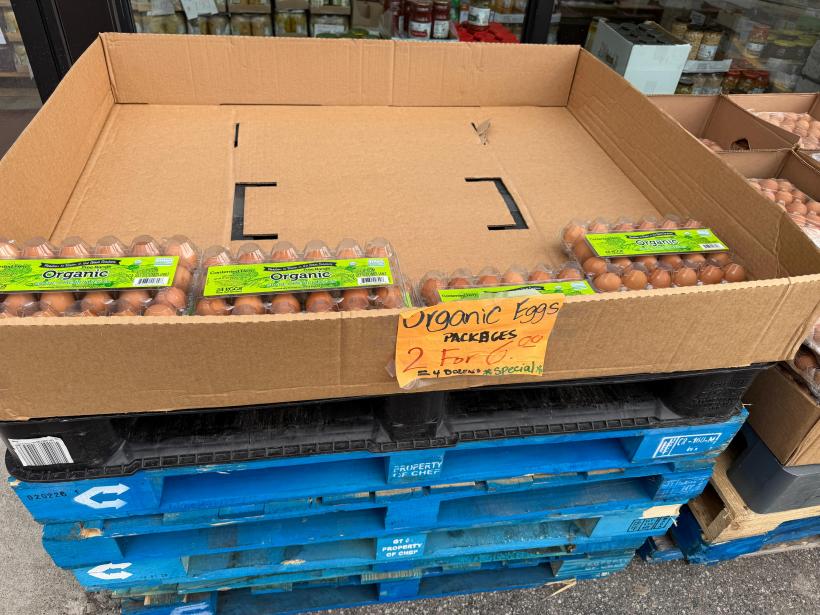 Viața în Detroit: scump, dar fără dramă 19000856