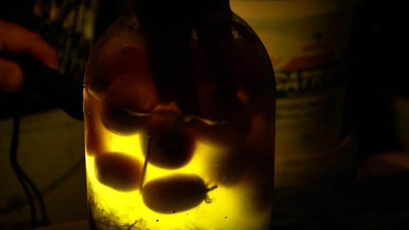 Cineastul nominalizat la Oscar Johan Grimonprez, invitat special la One World Romania 2026 19001192