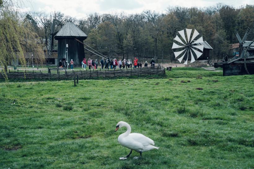 Elevii și profesorii, invitați la Muzeul ASTRA din Sibiu, pentru „Școala Altfel” și „Săptămâna Verde” 19001145