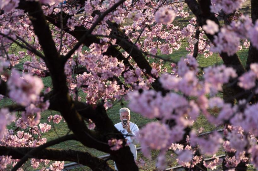 Luna nașterii și succesul: trăsături ascunse care îți influențează ambițiile