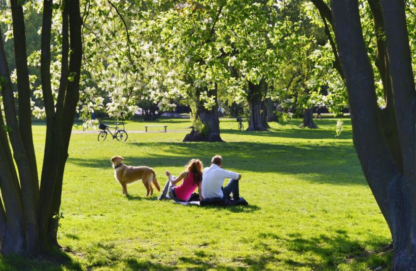 Lunile în care se nasc cei mai sufletiști oameni: descoperă ce îi face speciali