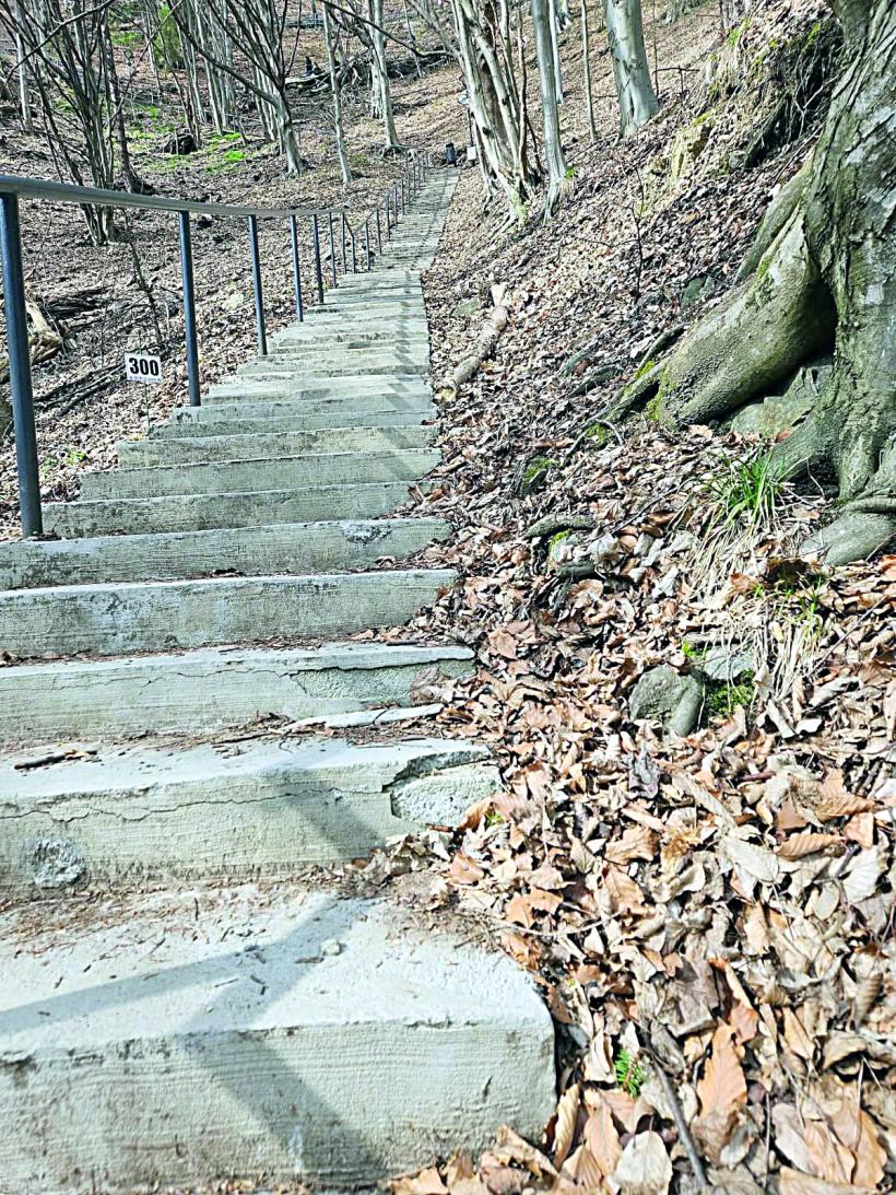 Poenari, în topul scandalurilor de renovare, după Râșnov și Curtea Domnească. Cetatea lui Vlad Țepeș, distrusă de Dorel și cucerită de urși 19001353