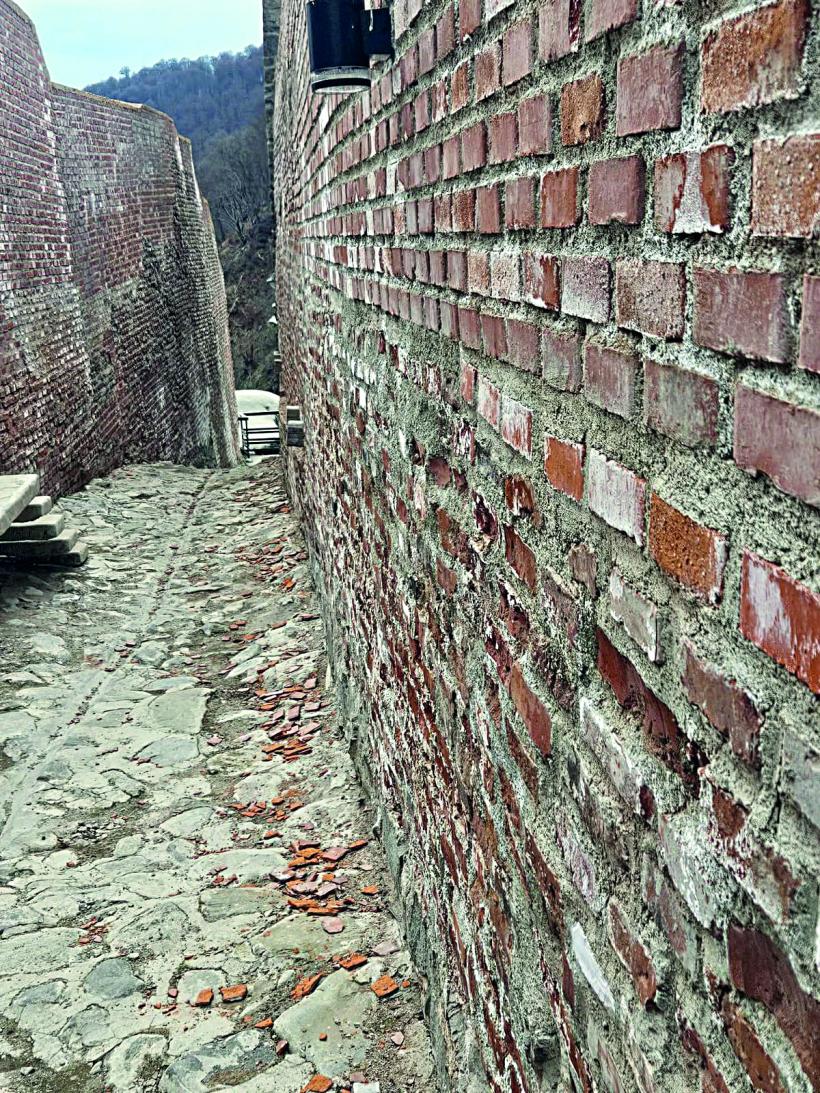 Poenari, în topul scandalurilor de renovare, după Râșnov și Curtea Domnească. Cetatea lui Vlad Țepeș, distrusă de Dorel și cucerită de urși 19001355