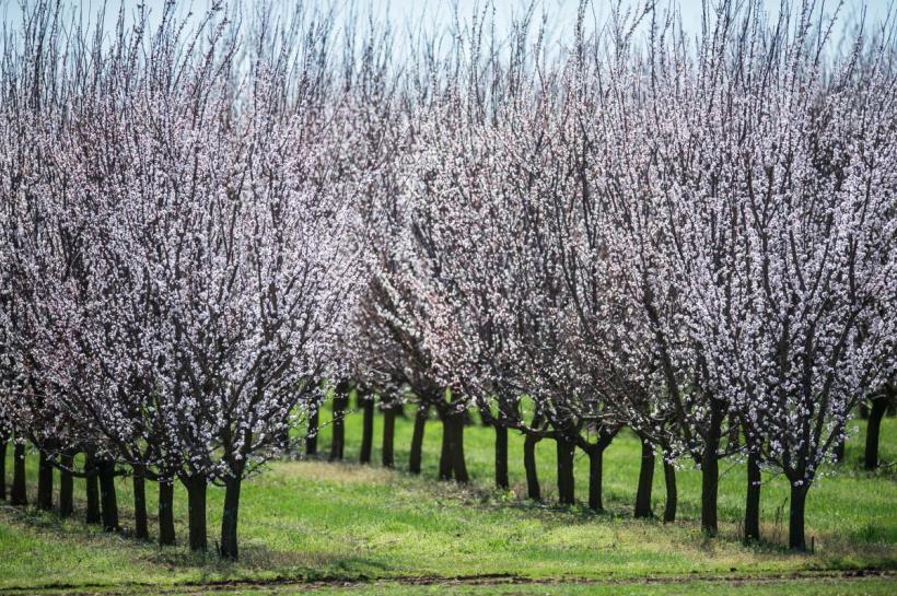 Fenomen spectaculos în Grecia: Locul unde ți se taie respirația