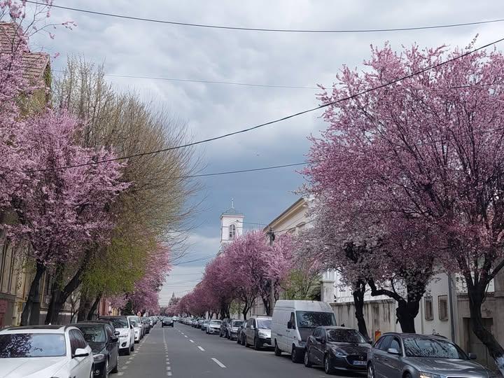 Orașul din România unde mergi toată ziua cu doar 1 leu!