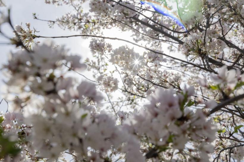 Ce urmează pentru tine în această primăvară: lecții neașteptate despre echilibru și fericire