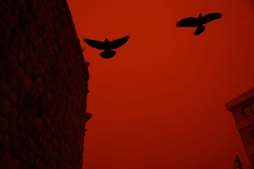 Furtuni devastatoare în Grecia: un mort lângă Atena, în timp ce un nor de praf saharian sufocă insula Creta 19001873