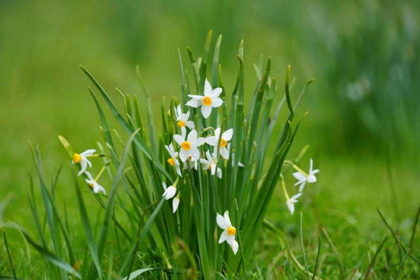 Ce revelație te așteaptă în aprilie: Mercur în Taur aduce claritate și decizii decisive