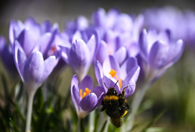 Mesajul pe care zodia ta îl așteaptă exact azi: Schimbă-ți perspectiva și eliberează-te!