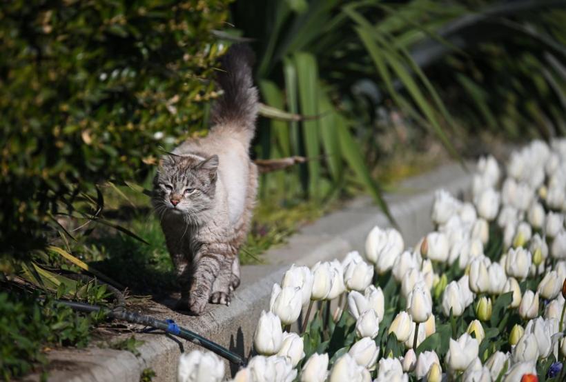 Prognoza meteo până pe 4 mai: Cum va fi vremea de Paște și 1 Mai în România