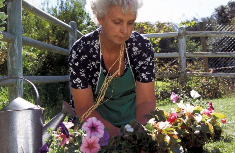 Ce flori se plantează în aprilie: transformă-ți grădina și balconul într-un paradis colorat