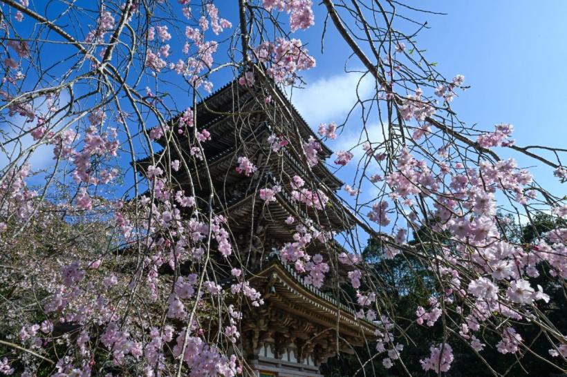 Horoscop excelent pe 5 aprilie 2026: Cinci zodii strălucesc sub Luna în Săgetător și Soarele în Berbec!