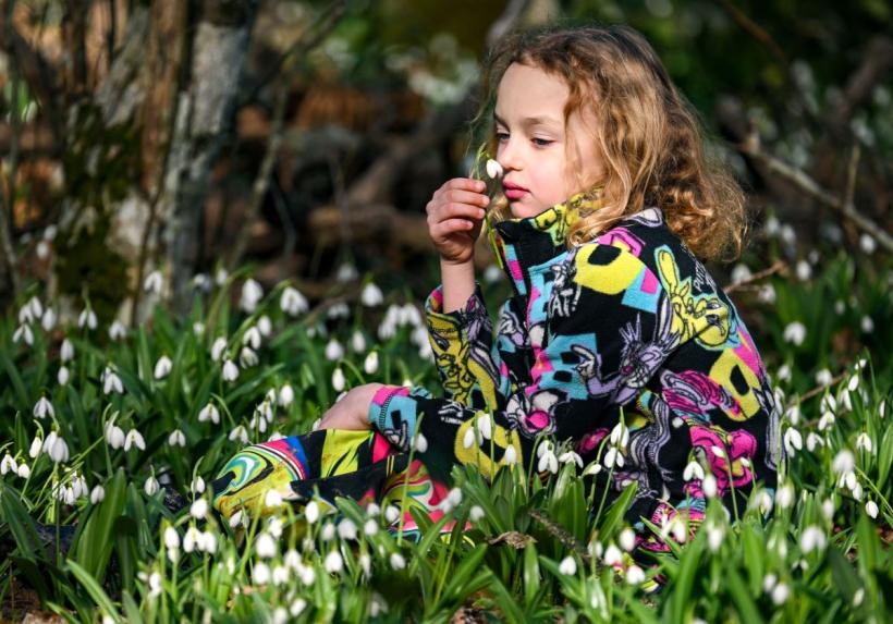 Horoscop chinezesc, 6–12 aprilie 2026: o săptămână care poate schimba multe lucruri