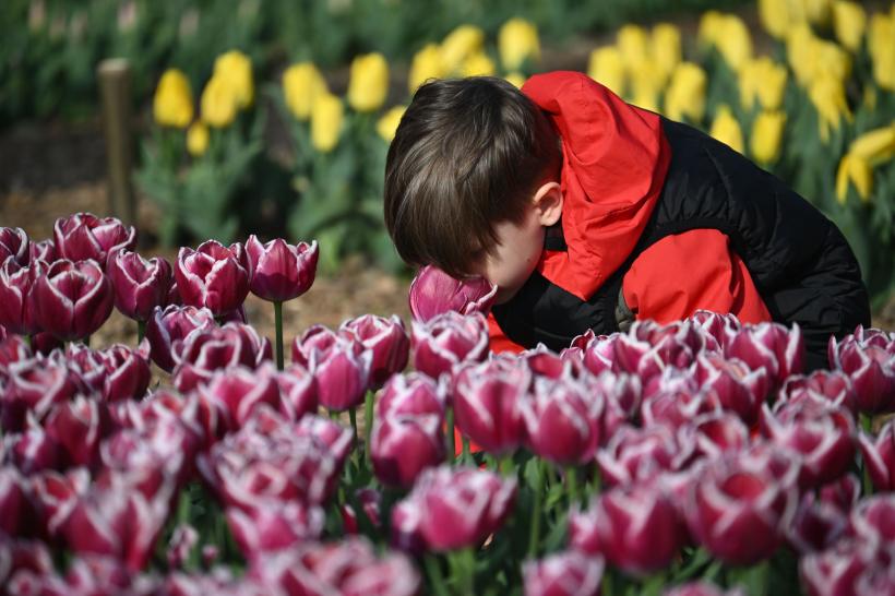 Horoscop 5 aprilie 2026: 4 zodii norocoase primesc semne puternice de la univers