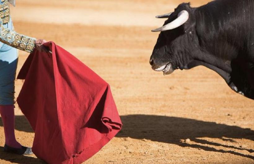 Tragedie în Spania: Fost toreador, ucis de un taur în culisele arenei din Málaga 19002180