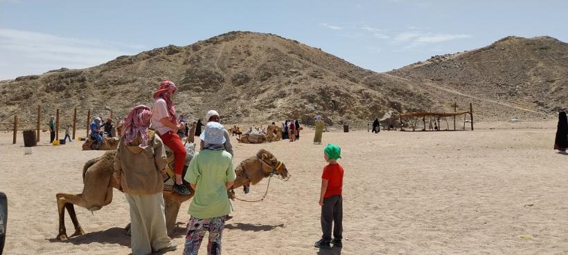 Românii sunt turiștii preferați ai egiptenilor 19002234