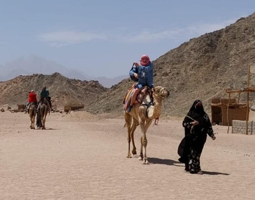 Țara fără femei de serviciu 19002786