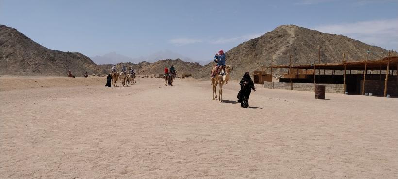 Țara fără femei de serviciu 19002787