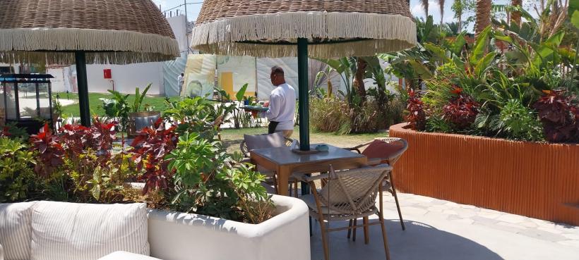 Țara fără femei de serviciu 19002789