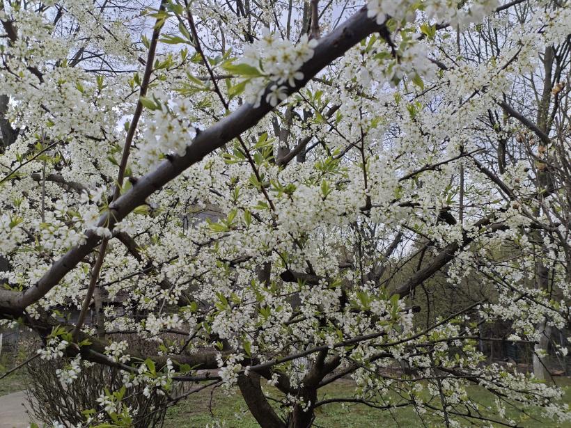 Ziua în care totul devine clar: 3 luni de naștere vizate de energia numărului 11