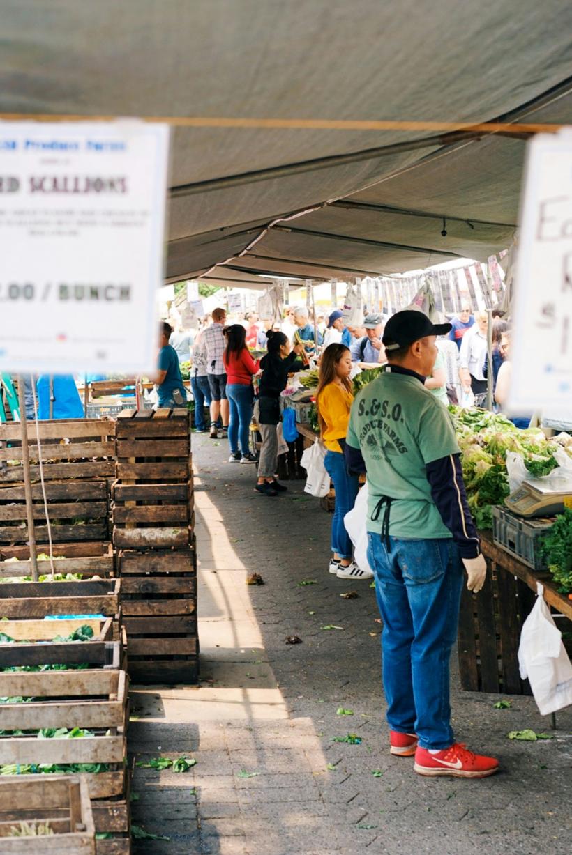 America scumpirilor fără pauză: între coșul zilnic și febra alegerilor 19002989