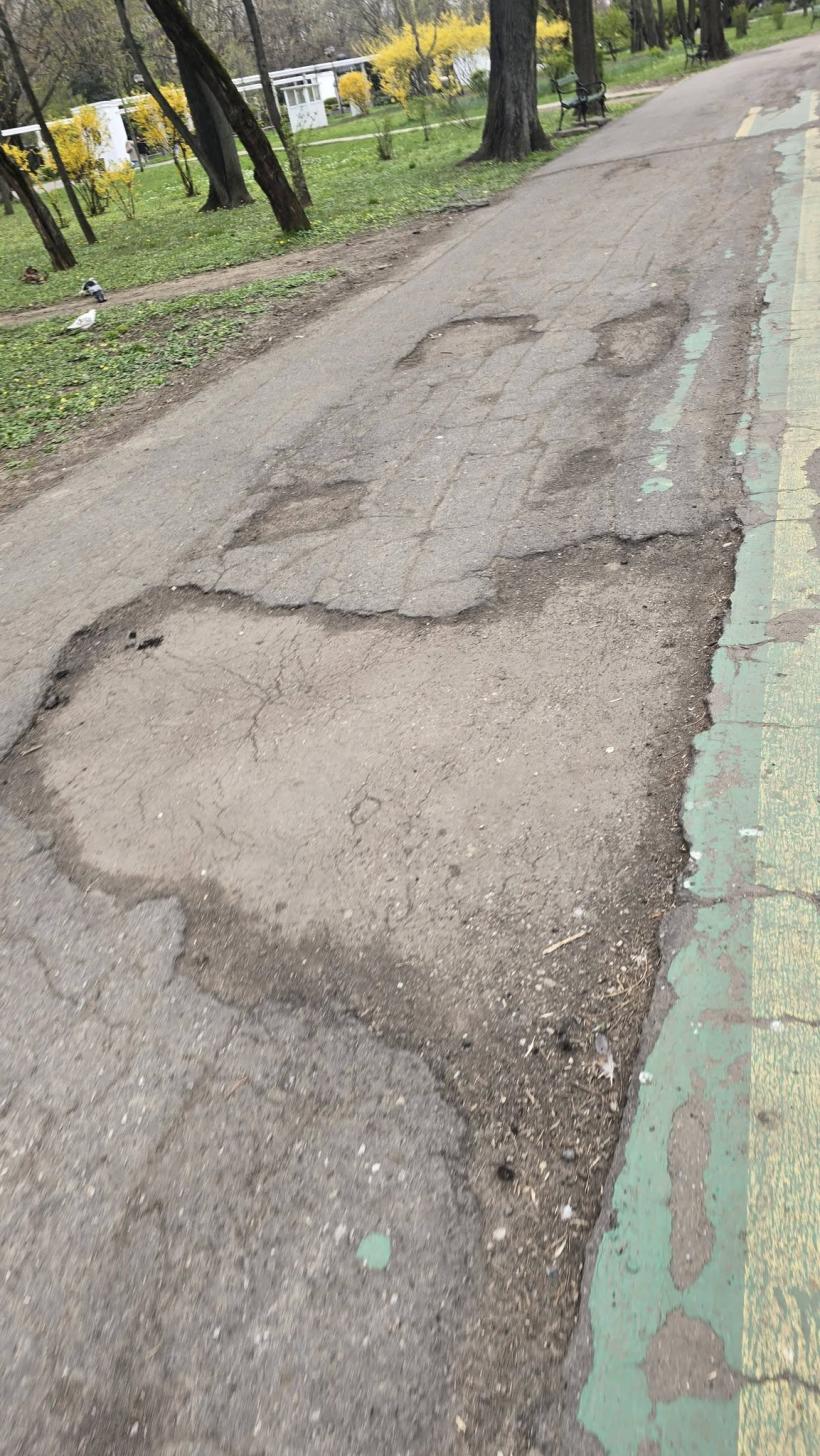 „Herăstrăul nu este bine!” Ciprian Ciucu promite o schimbare radicală după vizita în parc 19003284