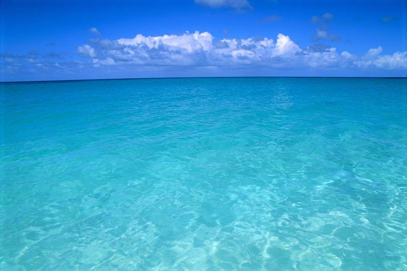 Oceanele au atins în martie temperatura unui record absolut