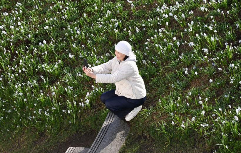 Horoscop chinezesc 14 aprilie 2026: 6 Zodii norocoase cu succes financiar și câștiguri