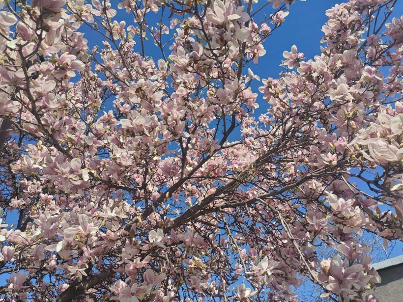 Trei zodii primesc o a doua șansă în iubire: schimbări majore pe 14 aprilie