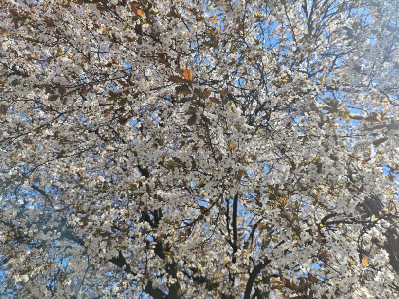 4 zodii primesc un CADOU cosmic UIMITOR pe 14 aprilie 2026: Mercur se aliniază cu Uranus și schimbă TOTUL!