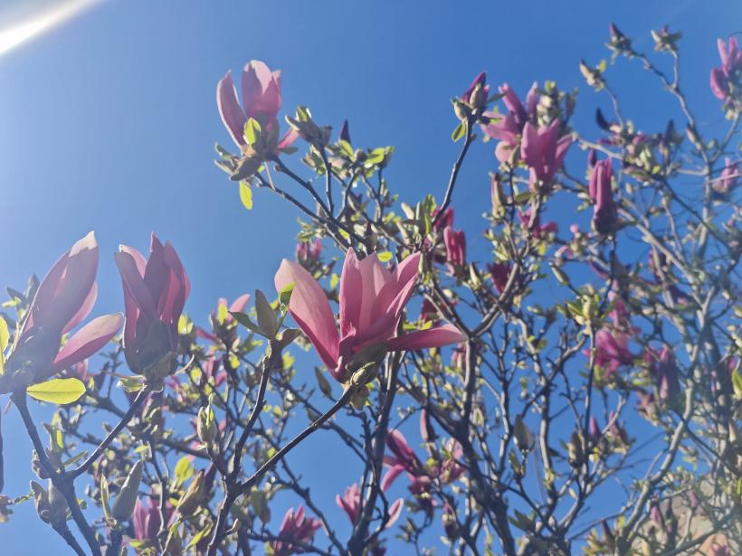 Saturn și Pluto rescriu destinele: ce se schimbă pentru fiecare zodie în 2026