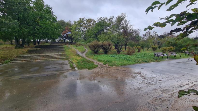 Bucureștiul va avea o grădină de ploaie: proiect inovator în Parcul Tineretului 19003847