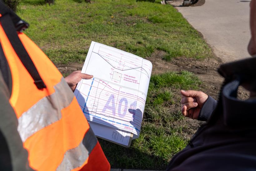 Bucureștiul va avea o grădină de ploaie: proiect inovator în Parcul Tineretului 19003851