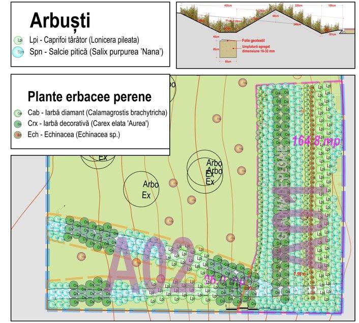 Bucureștiul va avea o grădină de ploaie: proiect inovator în Parcul Tineretului 19003852
