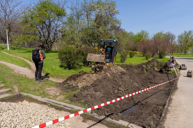 Bucureștiul va avea o grădină de ploaie: proiect inovator în Parcul Tineretului 19003853