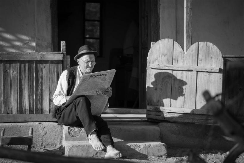 Filmele câștigătoare la Premiile Gopo revin pe marele ecran într-un maraton aniversar 19004033