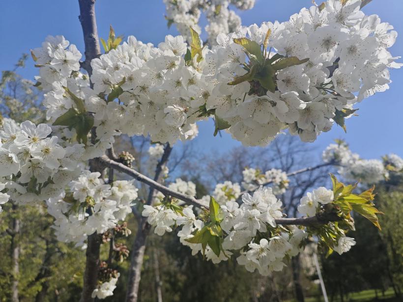 Ce se întâmplă cu zodiile la mijloc de aprilie: semnul subtil că nimic nu mai e la fel