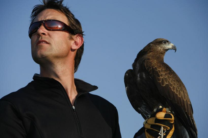 Ce pasăre îți oglindește sufletul, în funcție de luna nașterii