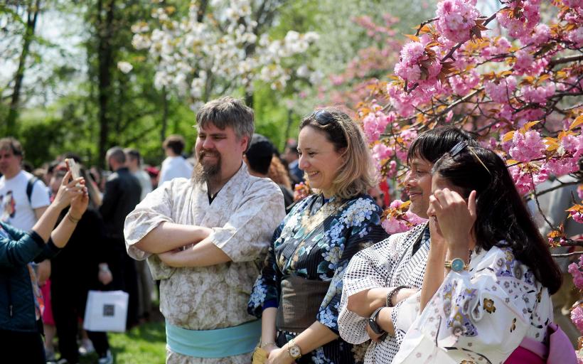 Hanami – sărbătoarea primăverii – în Grădina japoneză din Parcul Regele Mihai I (Herăstrău) 19004269