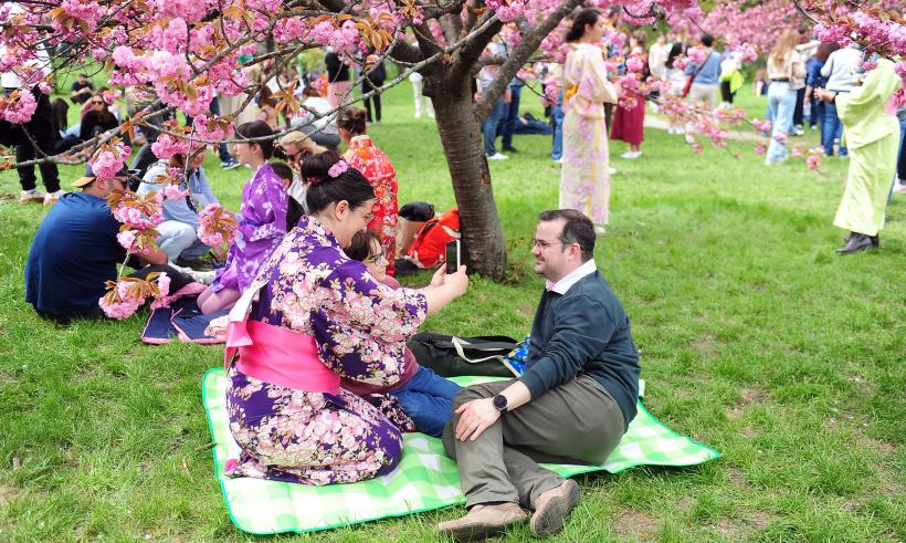 Hanami – sărbătoarea primăverii – în Grădina japoneză din Parcul Regele Mihai I (Herăstrău) 19004279