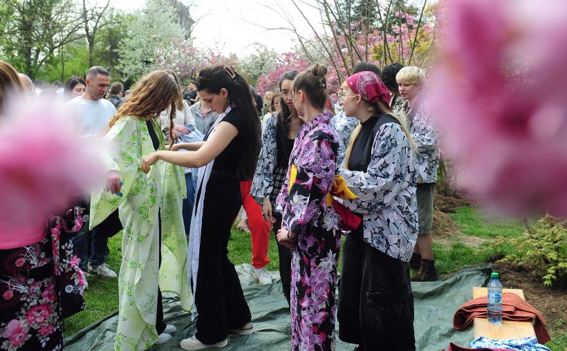 Hanami – sărbătoarea primăverii – în Grădina japoneză din Parcul Regele Mihai I (Herăstrău) 19004282