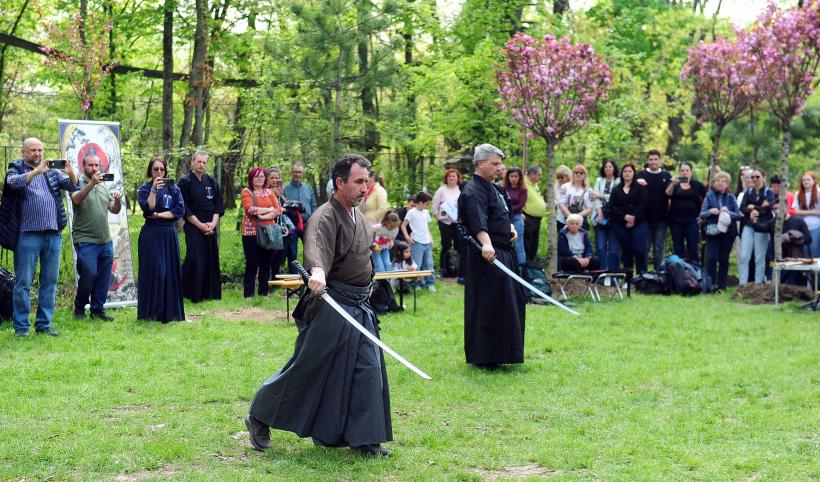 Hanami – sărbătoarea primăverii – în Grădina japoneză din Parcul Regele Mihai I (Herăstrău) 19004283
