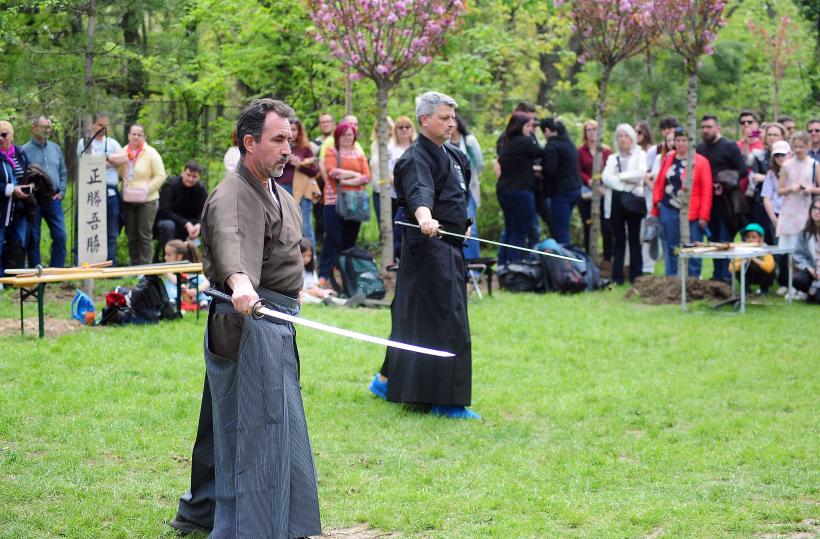 Hanami – sărbătoarea primăverii – în Grădina japoneză din Parcul Regele Mihai I (Herăstrău) 19004284