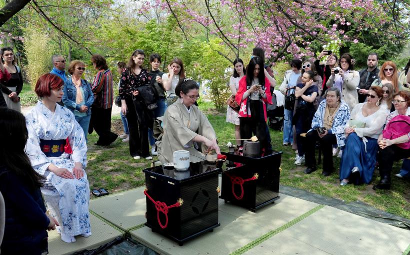 Hanami – sărbătoarea primăverii – în Grădina japoneză din Parcul Regele Mihai I (Herăstrău) 19004286