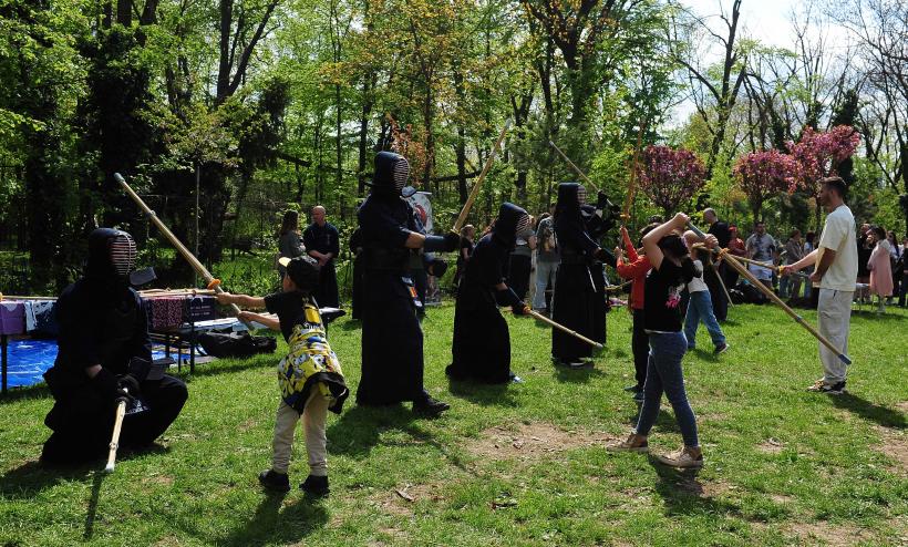 Hanami – sărbătoarea primăverii – în Grădina japoneză din Parcul Regele Mihai I (Herăstrău) 19004287