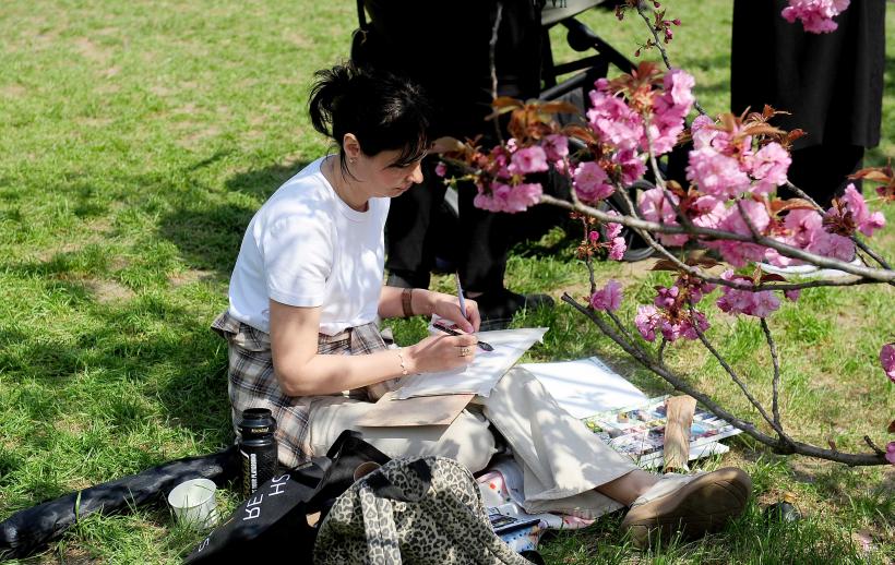 Hanami – sărbătoarea primăverii – în Grădina japoneză din Parcul Regele Mihai I (Herăstrău) 19004292
