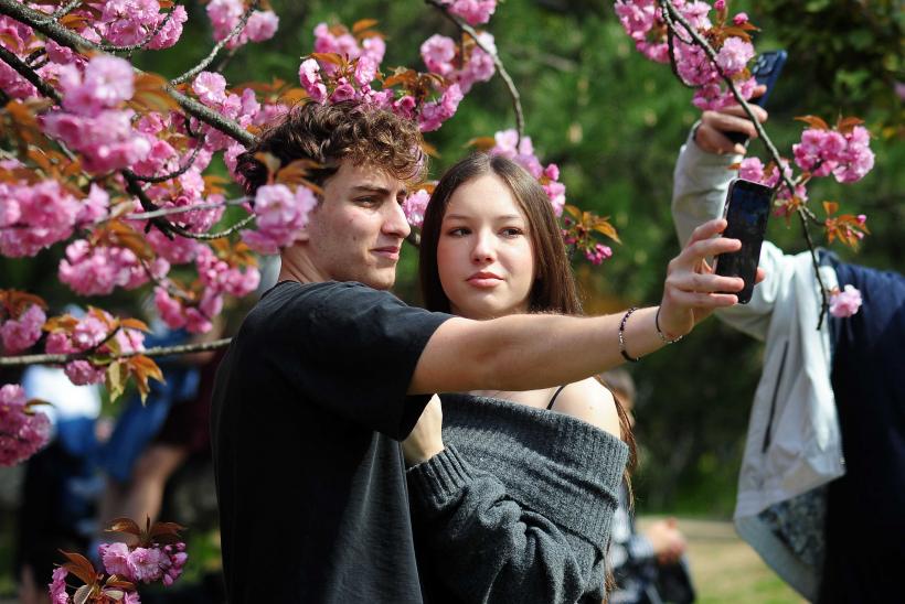 Hanami – sărbătoarea primăverii – în Grădina japoneză din Parcul Regele Mihai I (Herăstrău) 19004293