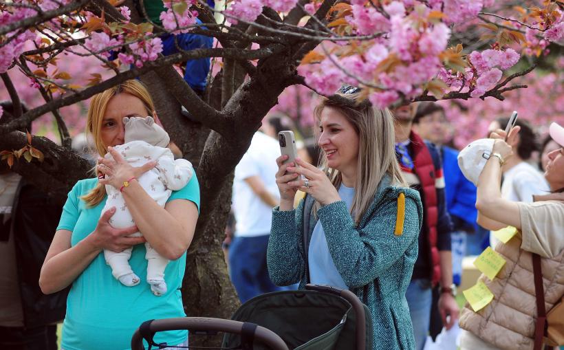 Hanami – sărbătoarea primăverii – în Grădina japoneză din Parcul Regele Mihai I (Herăstrău) 19004296